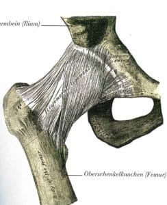 Hüftschmerzen und die Ursachen